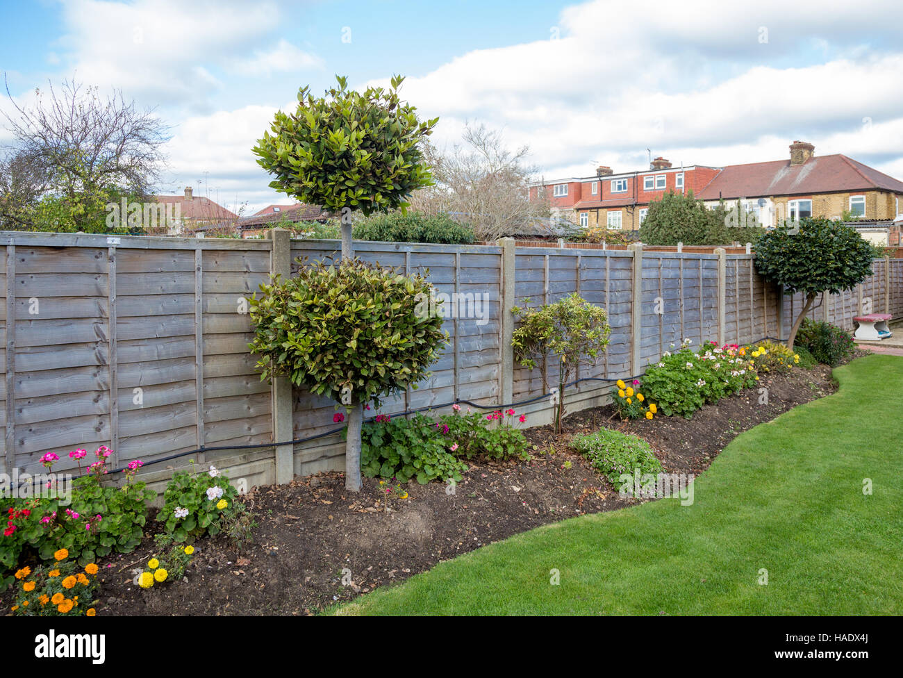 Flower bed in a typical urban garden Stock Photo Alamy