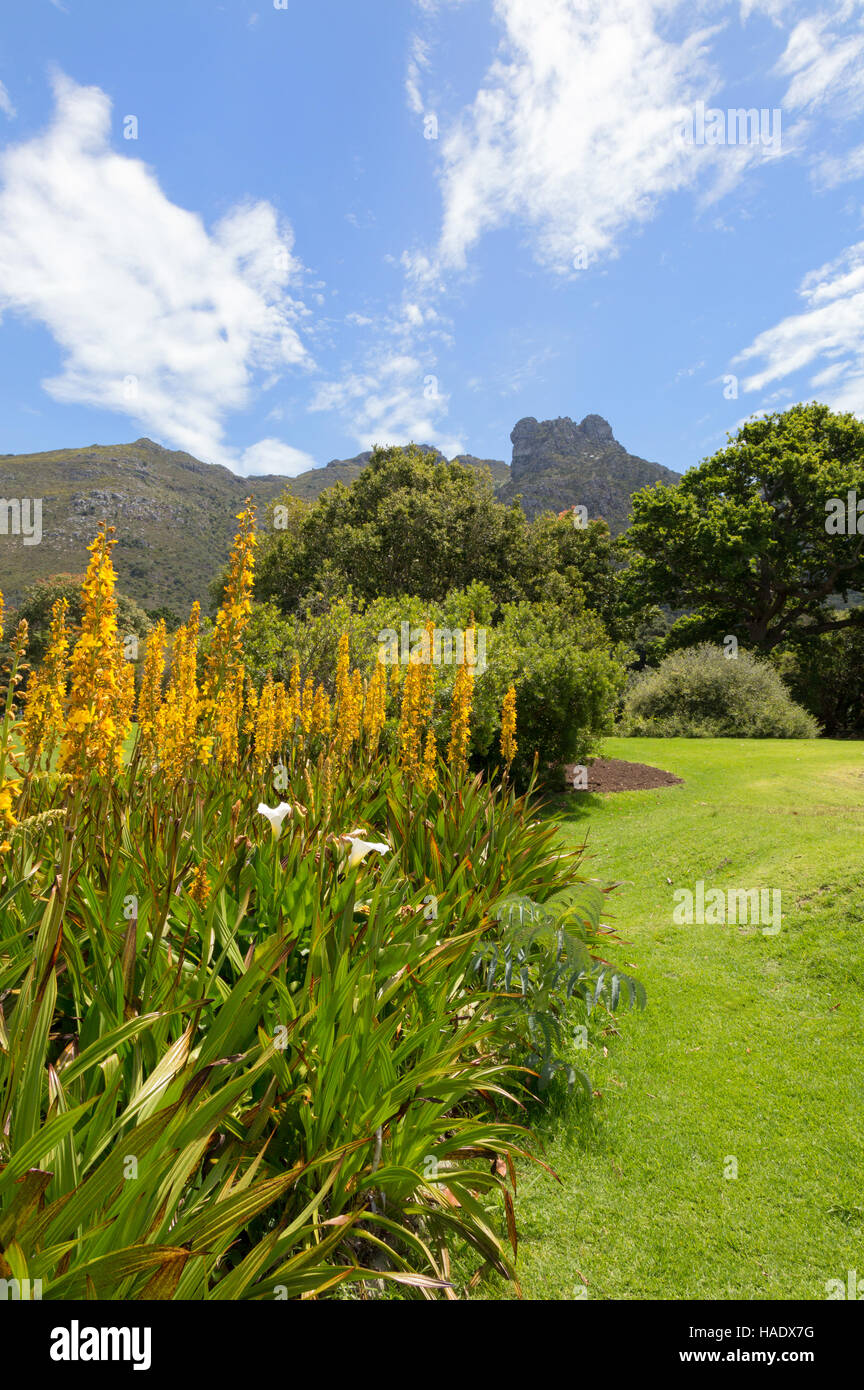 Kirstenbosch National Botanical Garden, Cape Town, South Africa Stock Photo