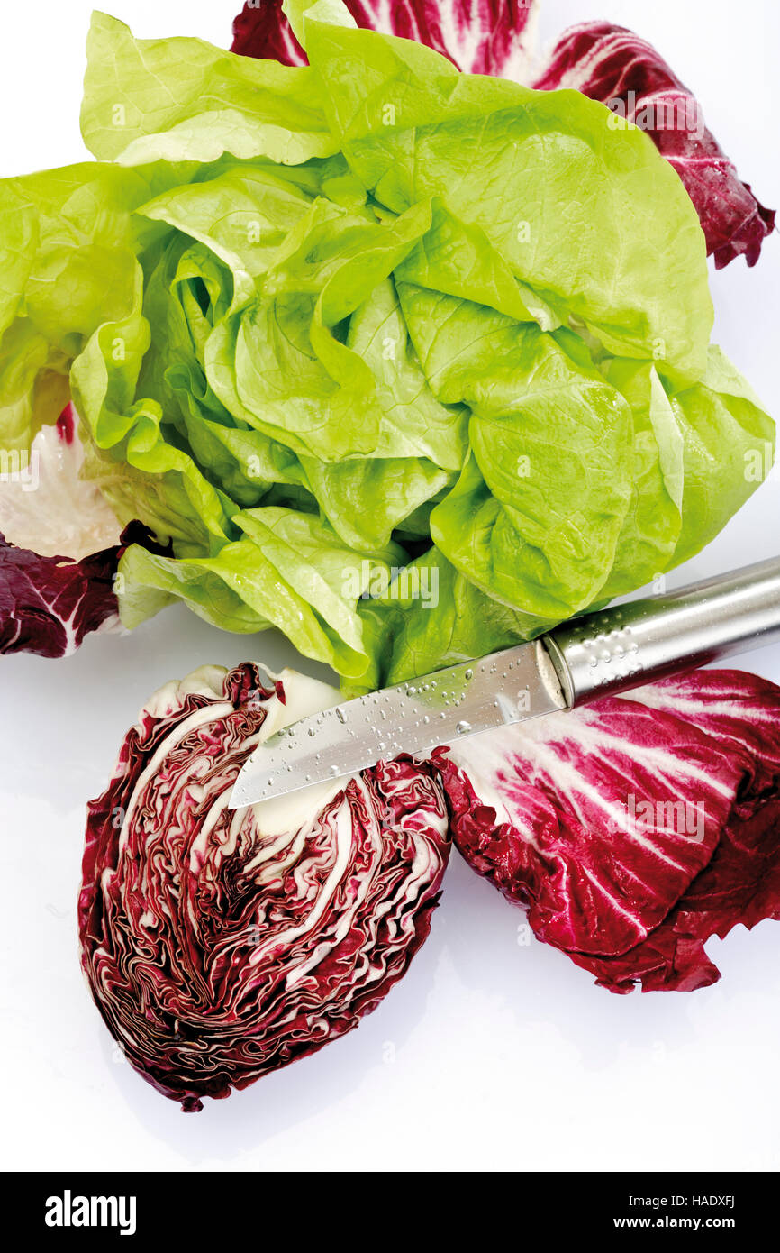 Lettuce and radicchio Stock Photo Alamy