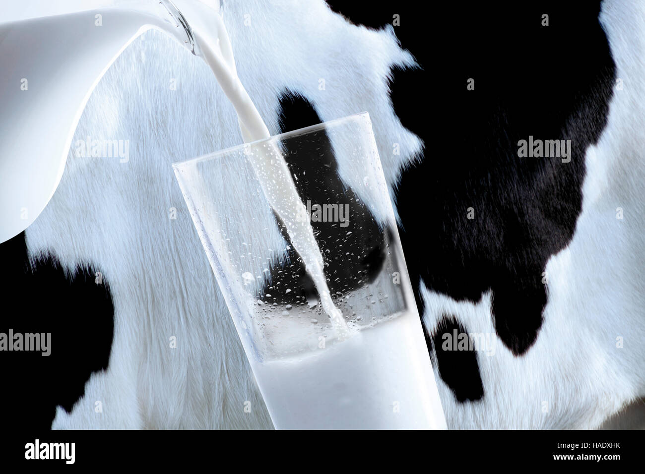 Молоко полученное от коровы 5. Корова молоко. Молоко льется. Парное молоко. Корова для молока.