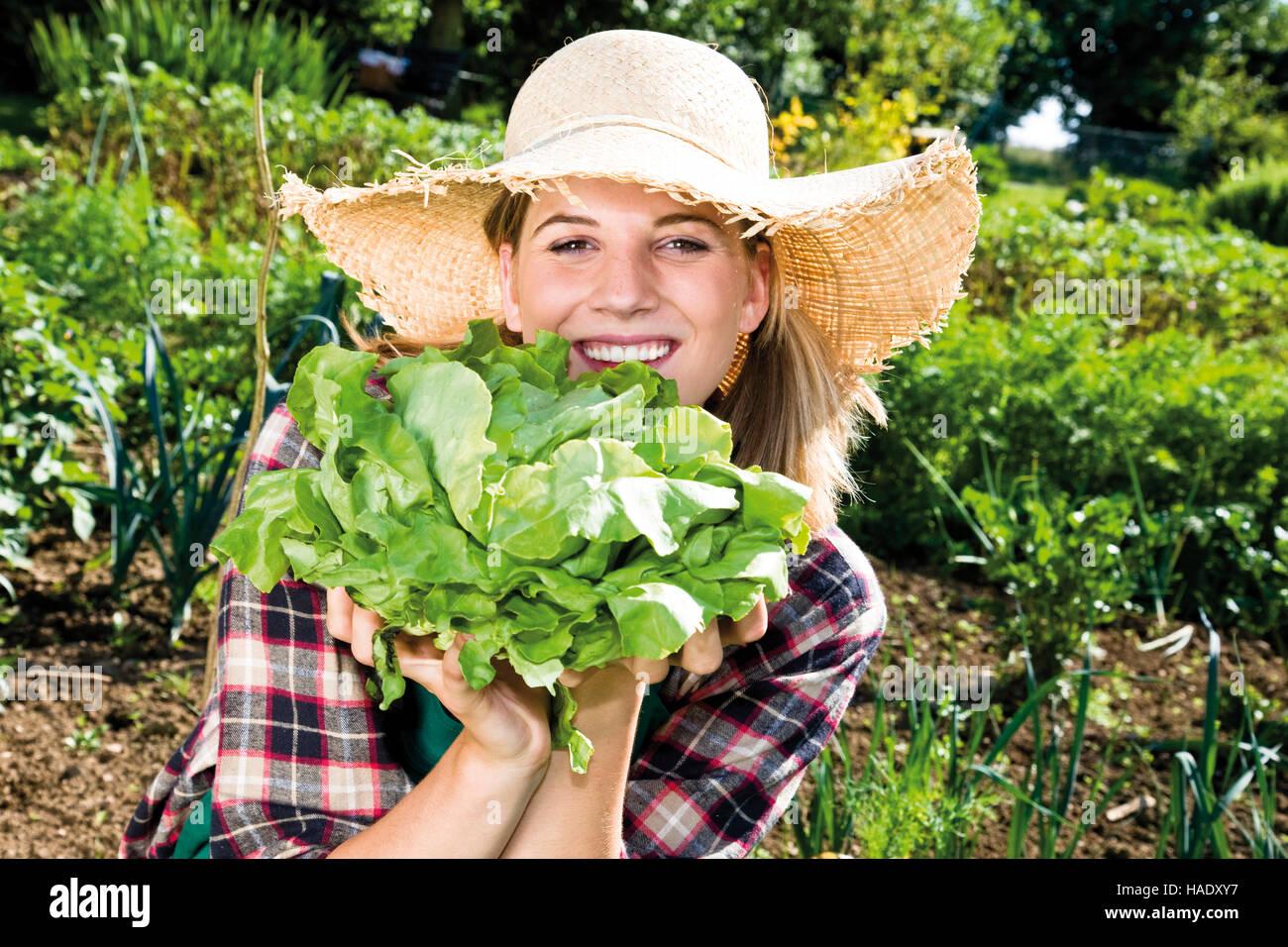 Young female gardener with lettuce Stock Photo