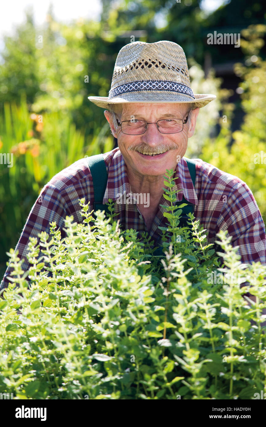 Gardener in herbal patch Stock Photo