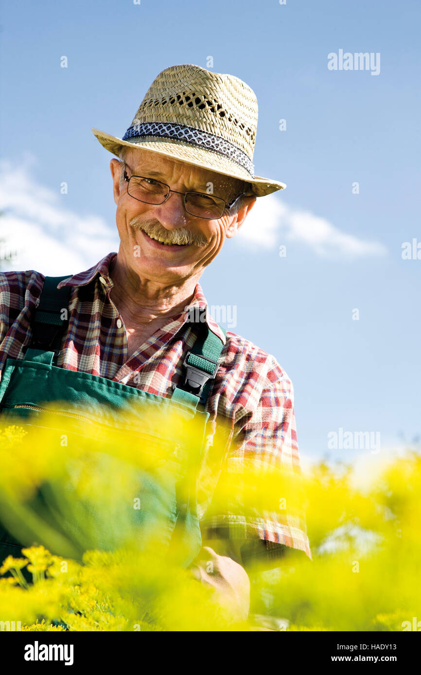 Beaming gardener in front of his patch of flowering dill Stock Photo