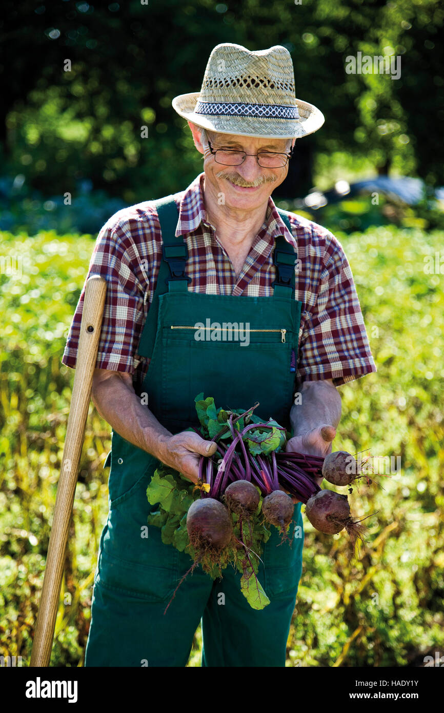 Gardener with beetroot Stock Photo