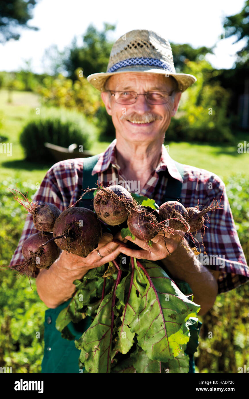 Proud gardener with beetroot Stock Photo
