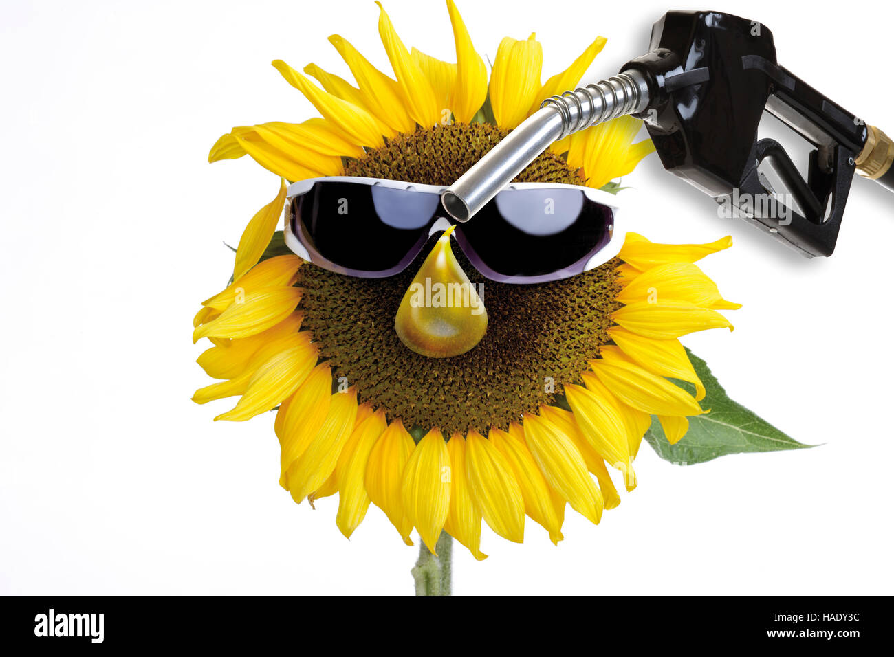 Sunflower, petrol pump, symbolic of biofuels Stock Photo