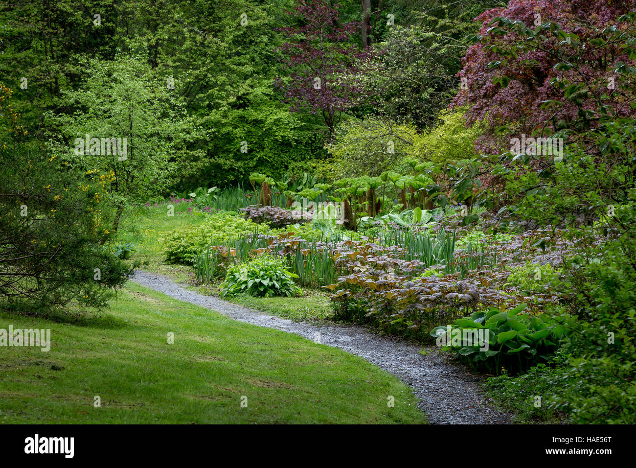 Lush green tone hi-res stock photography and images - Alamy