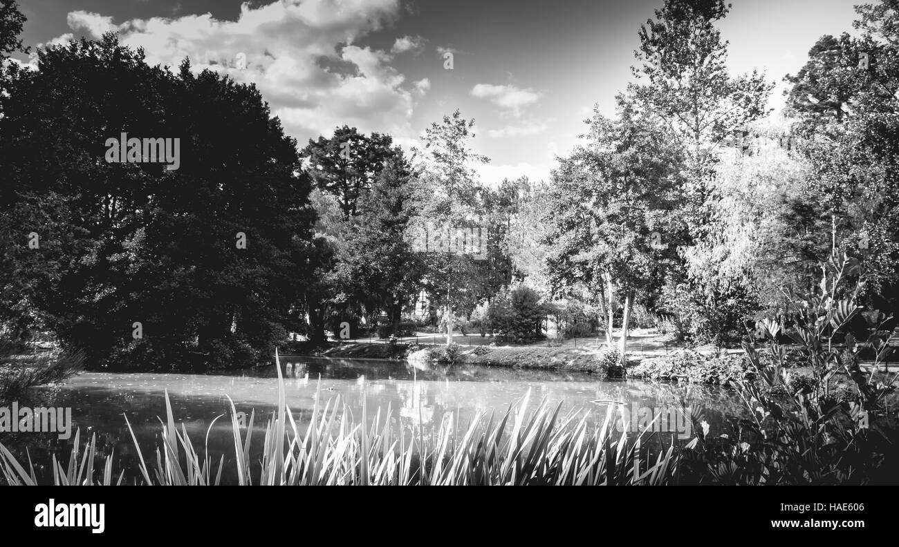 empty park with a lake at summer time in black and white Stock Photo ...