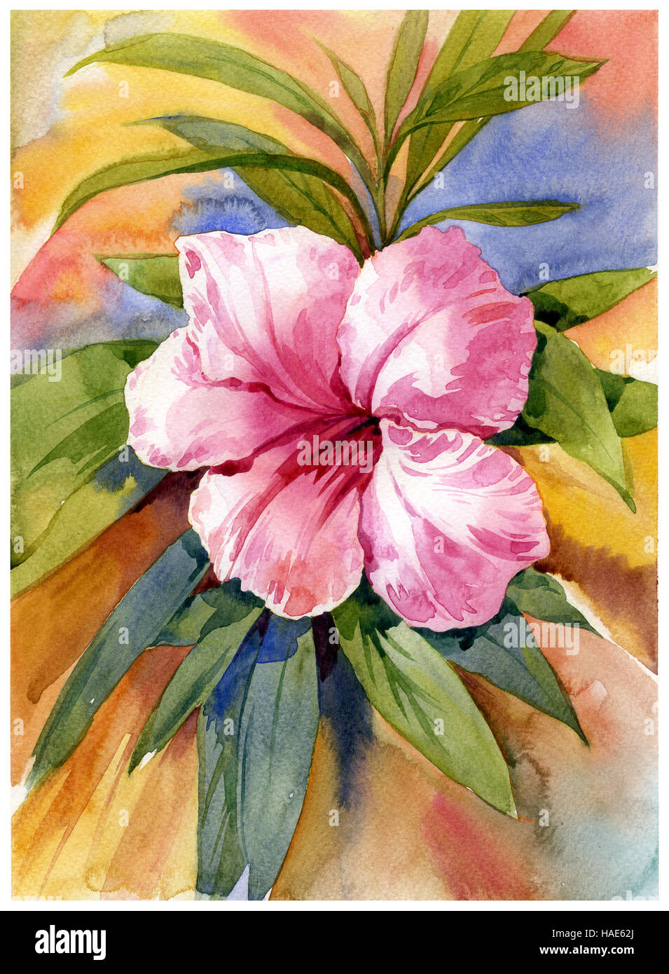 watercolor painting of flower Stock Photo