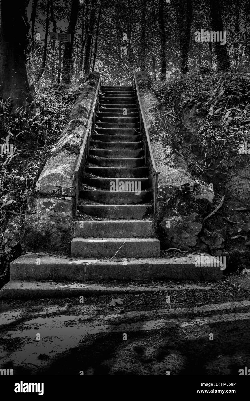 Beach stairs Black and White Stock Photos & Images - Alamy