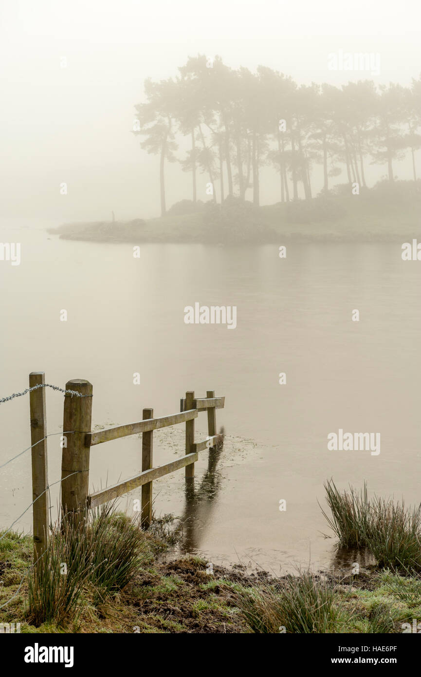 Misty scenes at the Knapps loch Kilmacolm with frost and ice covering everything Stock Photo