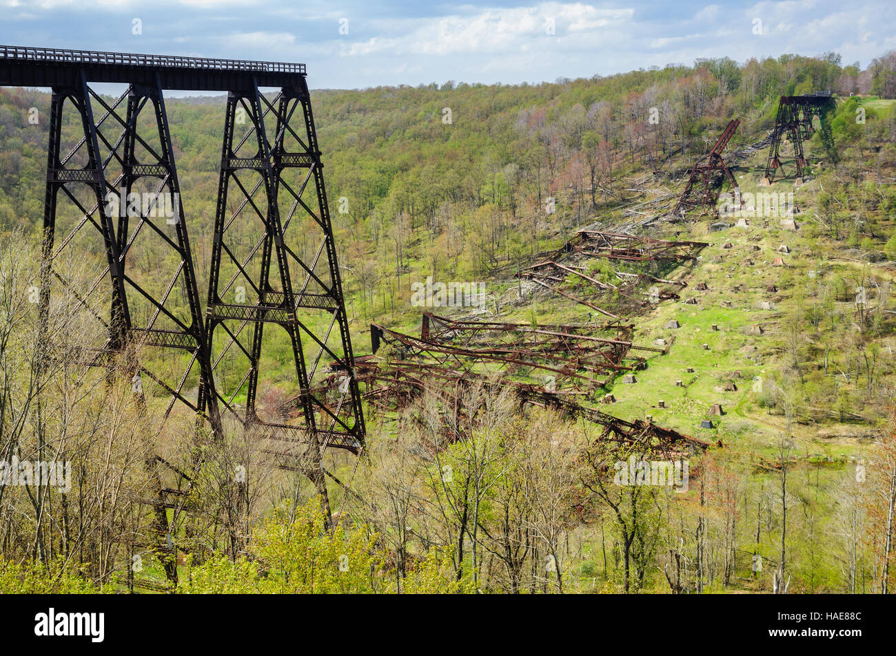 Are Dogs Allowed At Kinzua Bridge