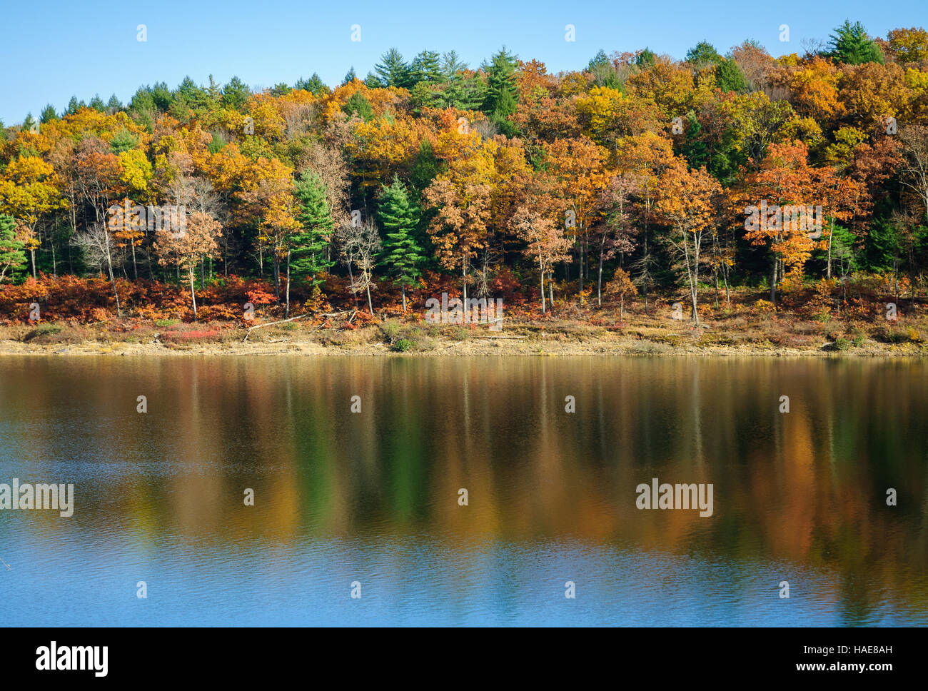 Tionesta Lake and Dam Stock Photo - Alamy