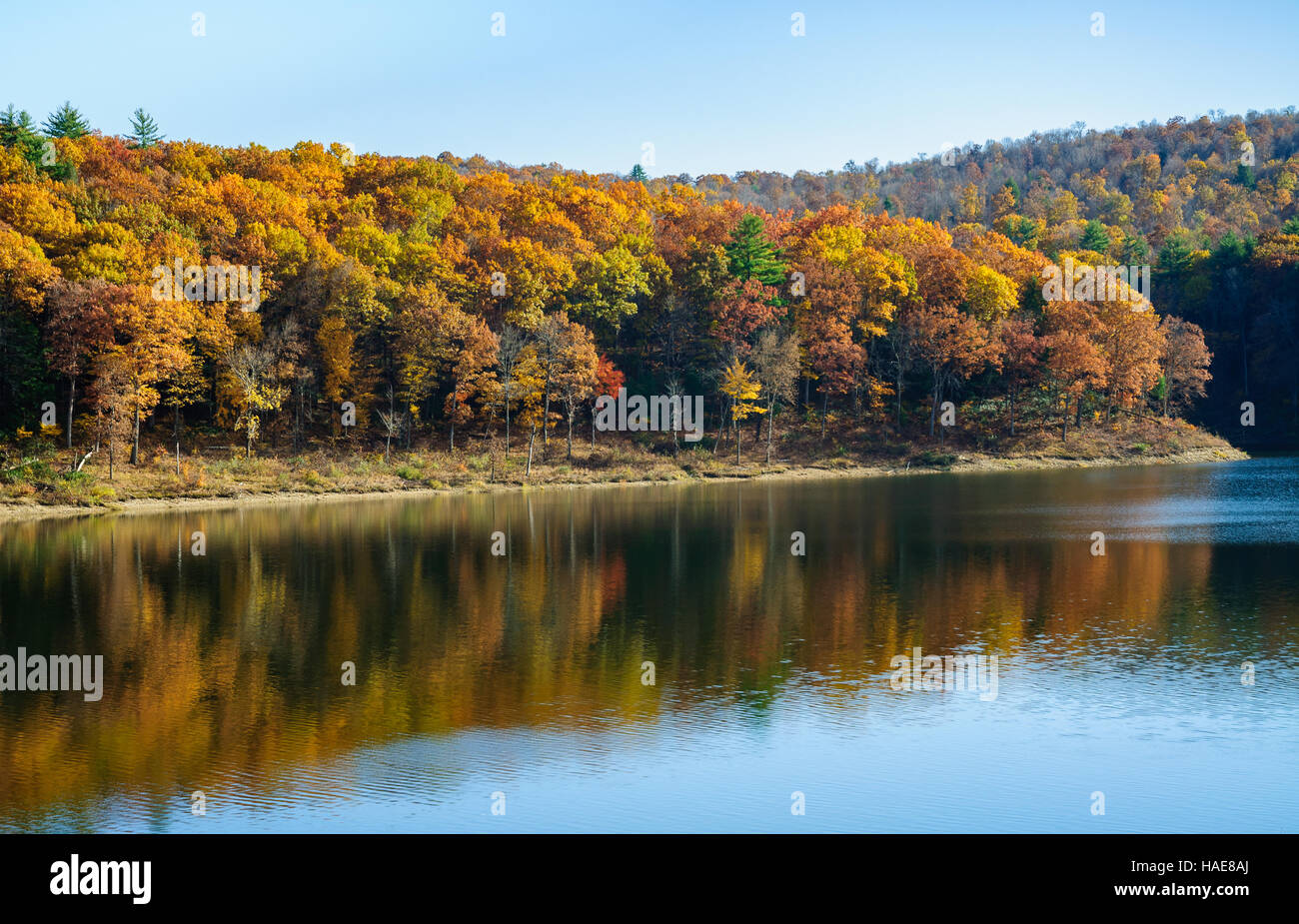 Tionesta Lake and Dam Stock Photo - Alamy