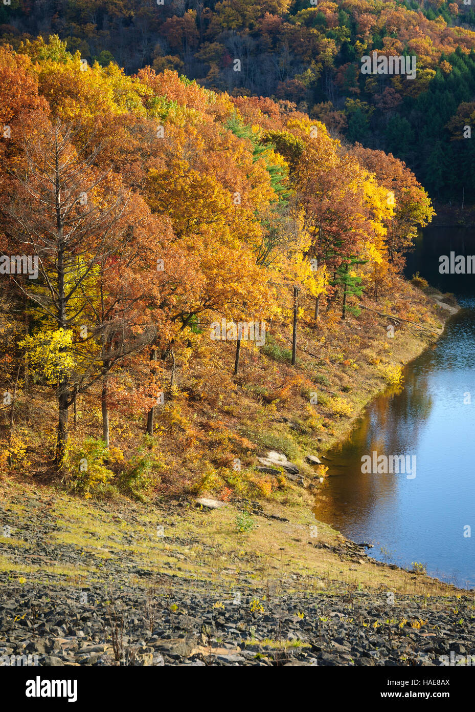 Tionesta Lake and Dam Stock Photo Alamy