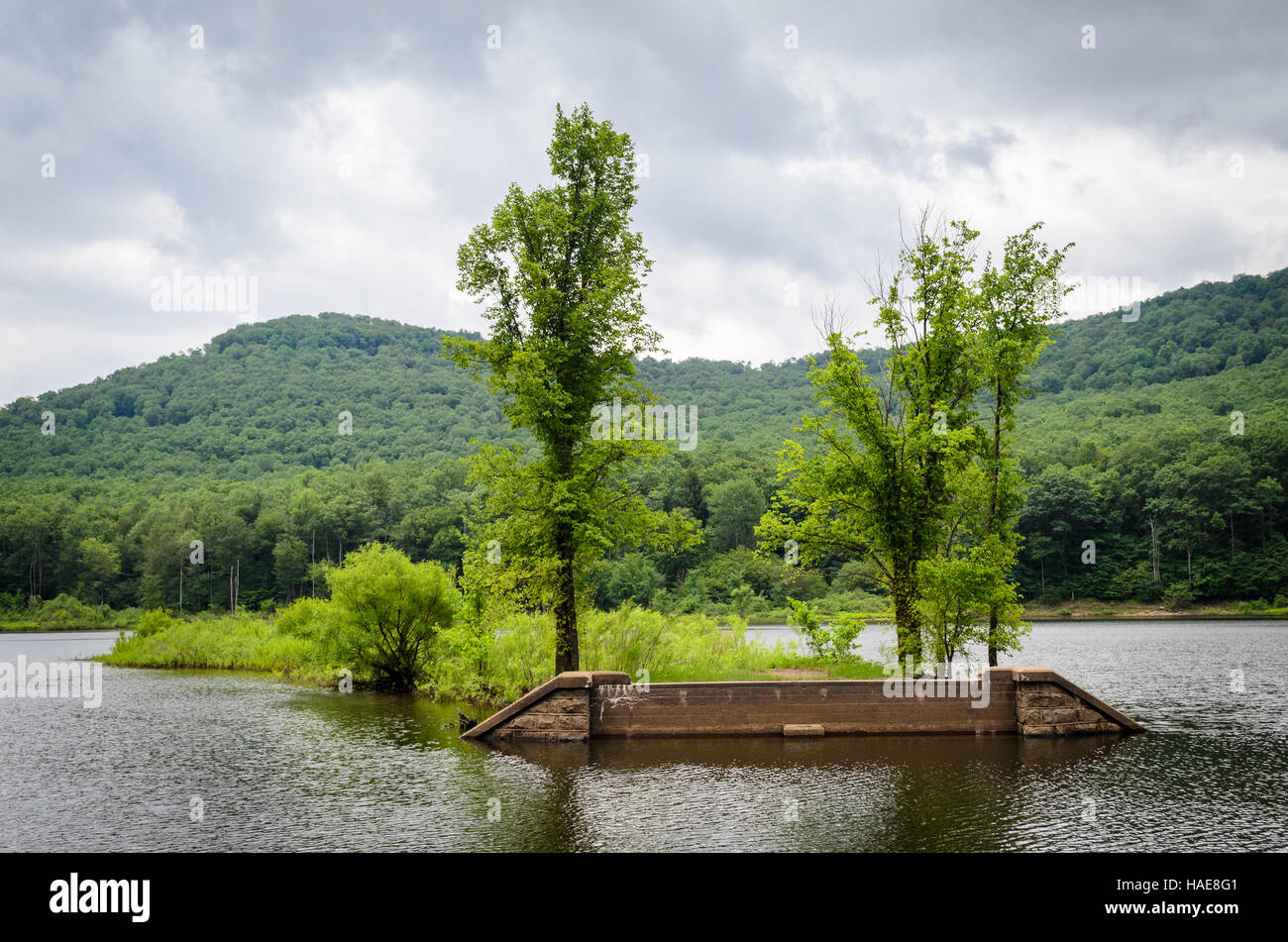Allegheny National Forest Stock Photo Alamy