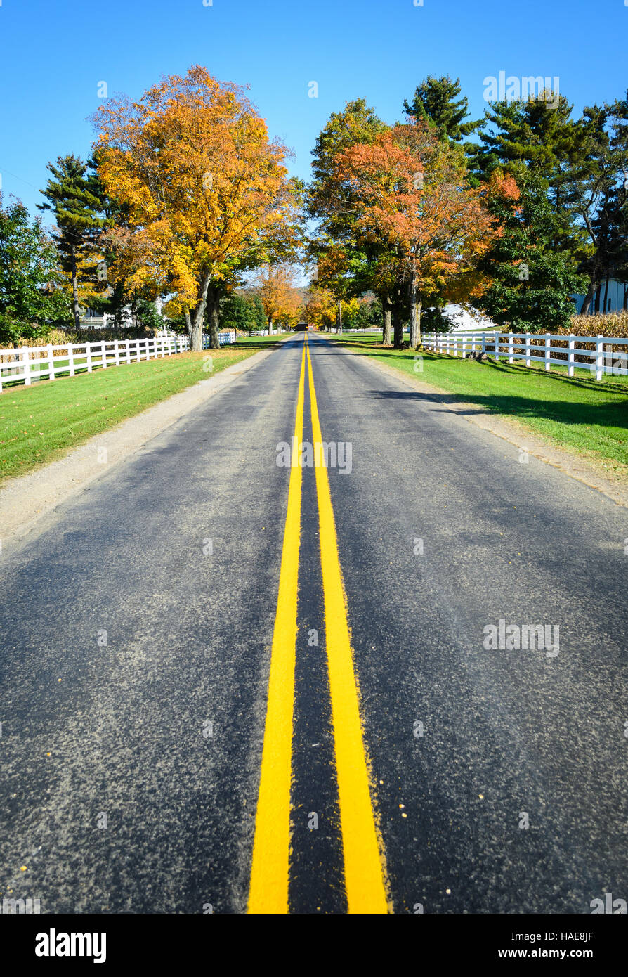 Allegheny National Forest Stock Photo