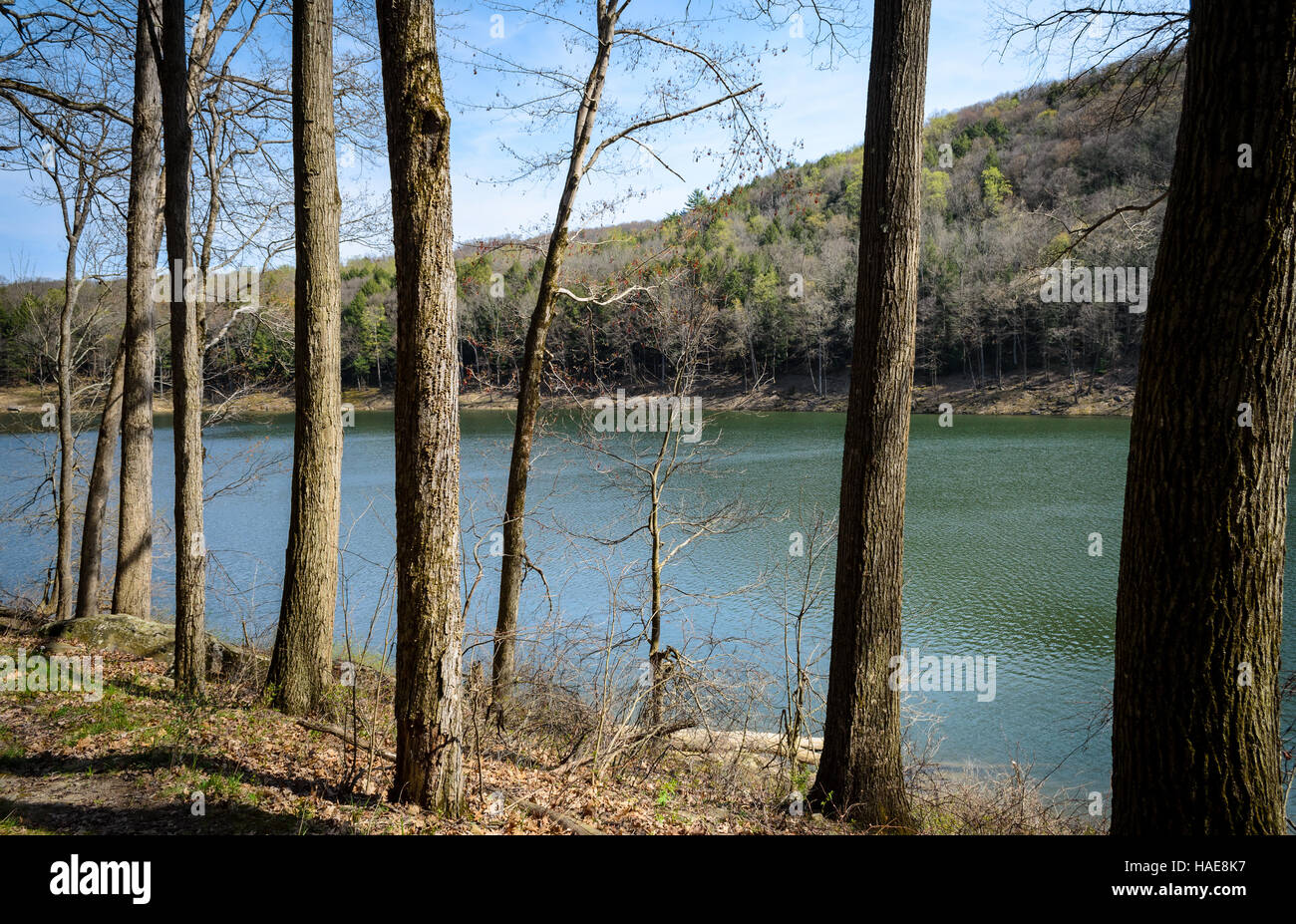 Tionesta Lake and Dam Stock Photo Alamy