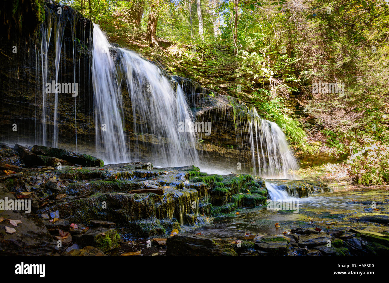 Ricketts Glen State Park Stock Photo Alamy