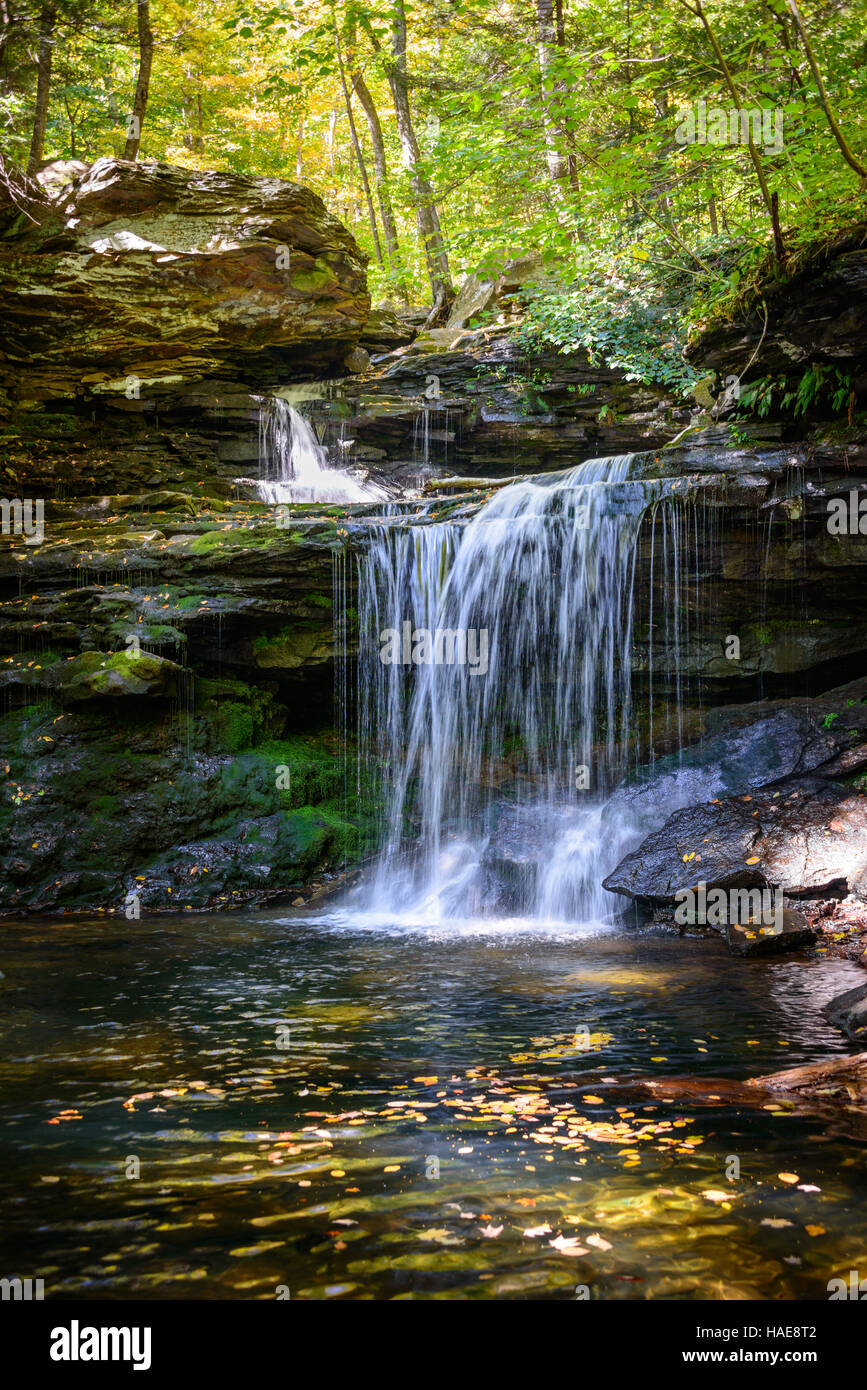 Ricketts Glen State Park Stock Photo Alamy