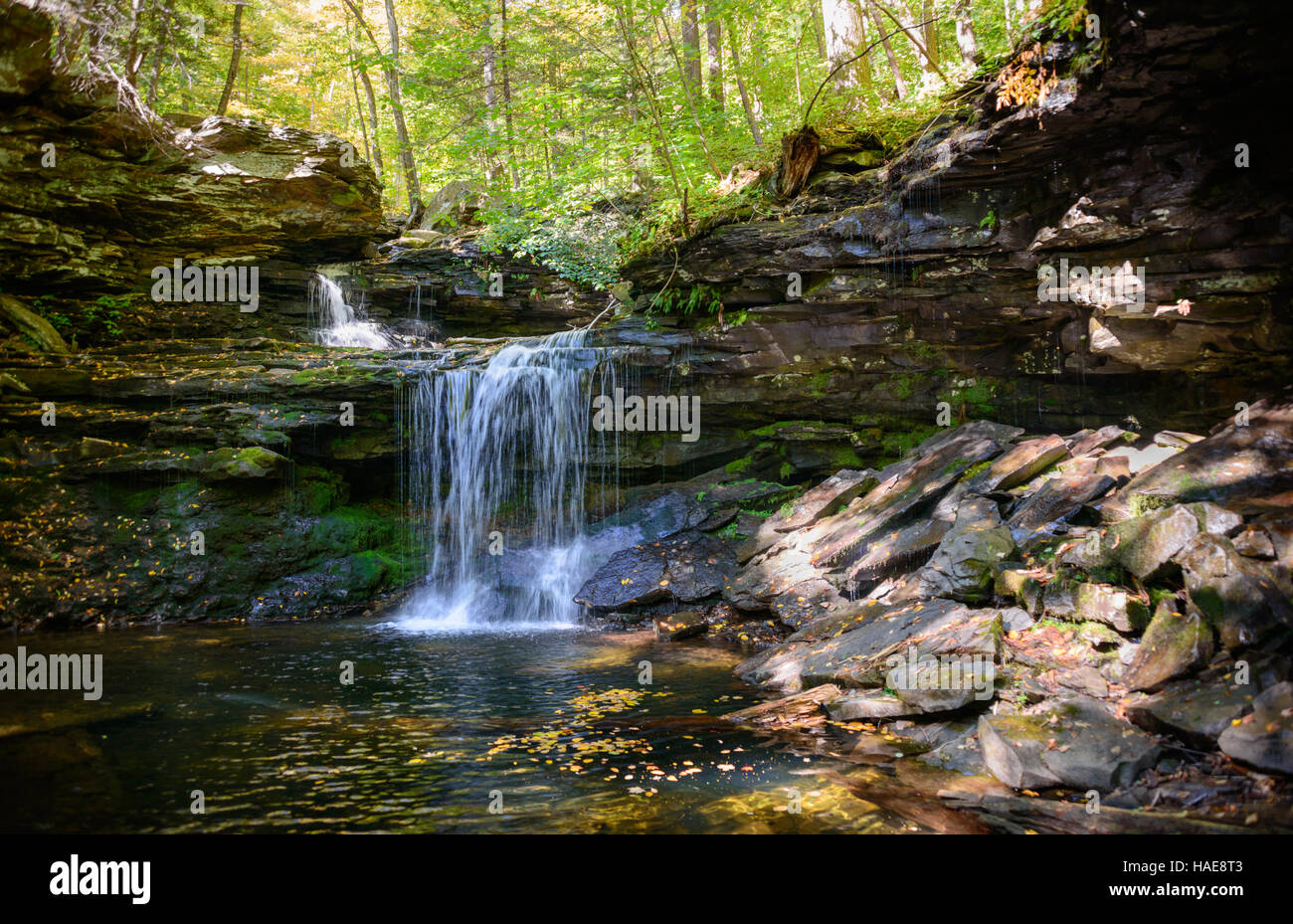 Ricketts Glen State Park Stock Photo Alamy