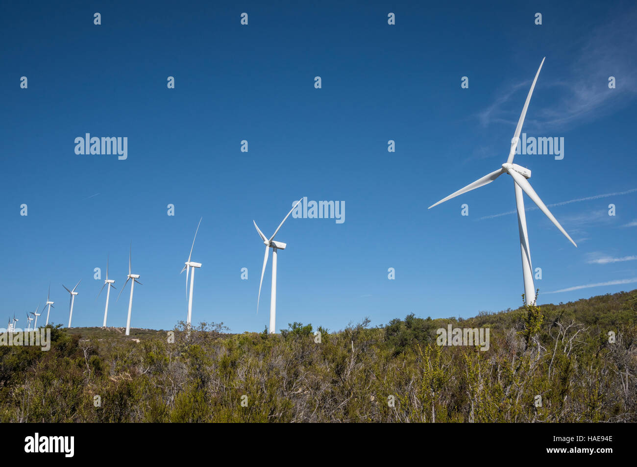 Kumeyaay wind power project electricity generating wind turbime farm, at Tecate Divide, Southern California Stock Photo