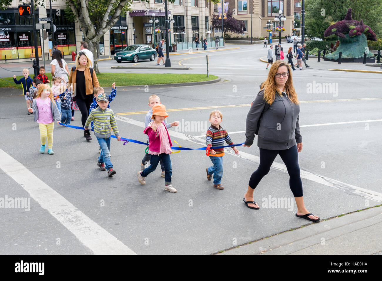 Pre-school children on leash on a class outing. Stock Photo