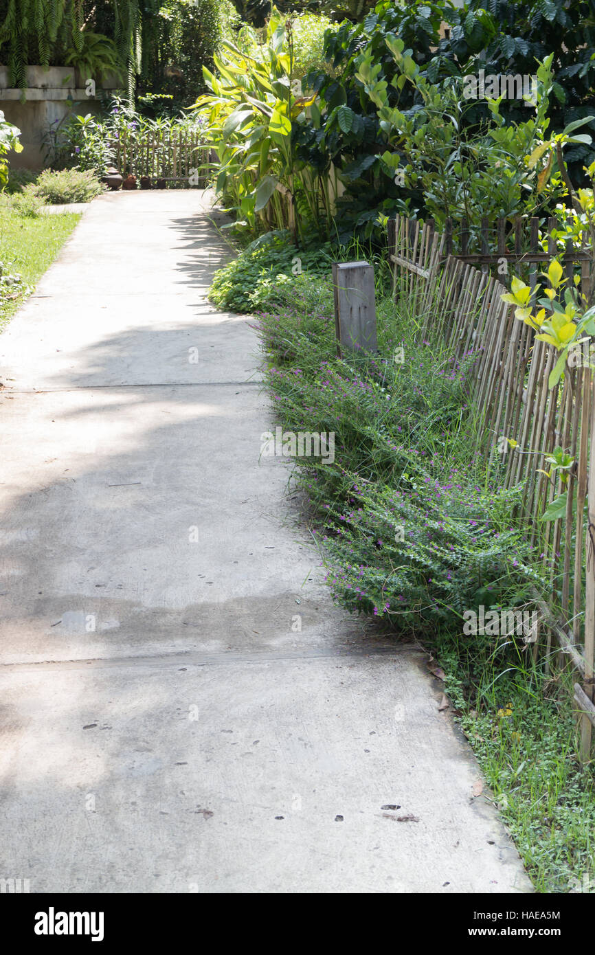 Pathway through the green garden, stock photo Stock Photo - Alamy