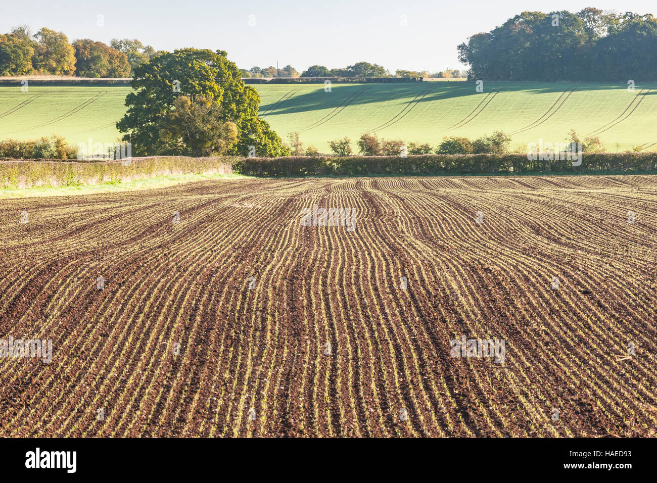 A recently ploughed field near to Naunton in the Cotswolds. Stock Photo