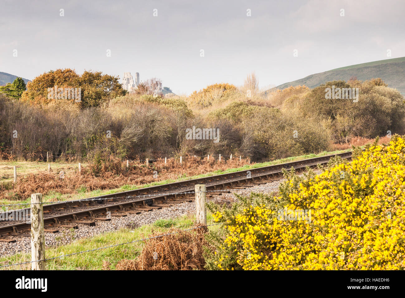 A single track railway line Stock Photo Alamy