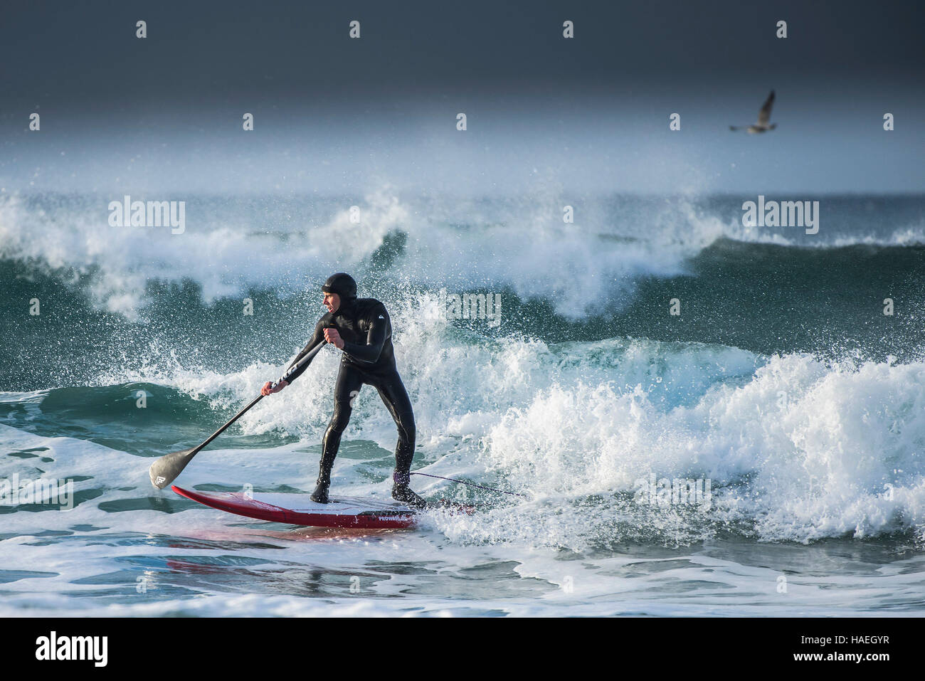 A paddle boarder surfing at Fistral in Newquay, Cornwall. UK. Stock Photo