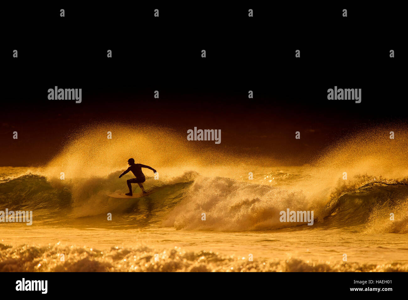 Surfing during a spectacular golden sunset at Fistral in Newquay, Cornwall. UK. Stock Photo