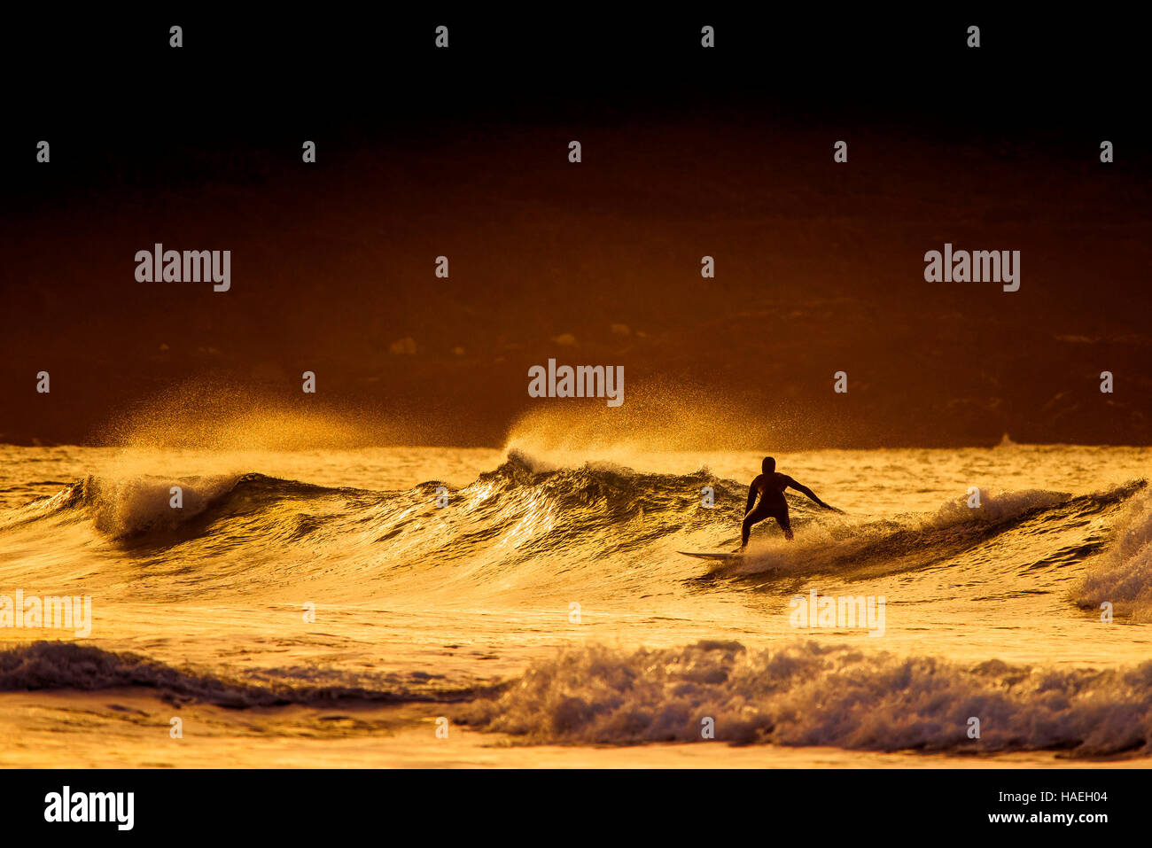 Surfing during a spectacular golden sunset at Fistral in Newquay, Cornwall. UK. Stock Photo