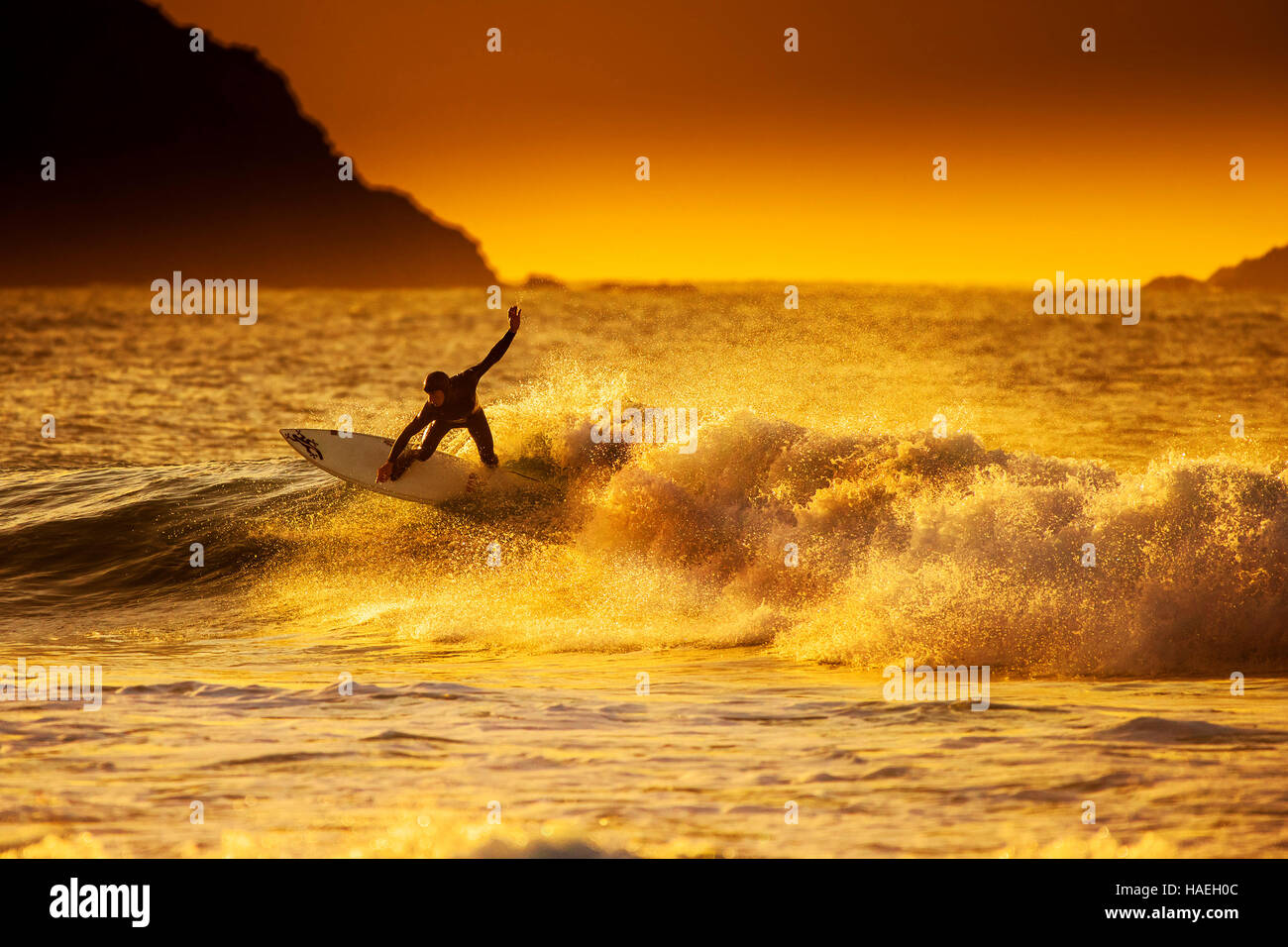 Surfing during a spectacular golden sunset at Fistral in Newquay, Cornwall. UK. Stock Photo