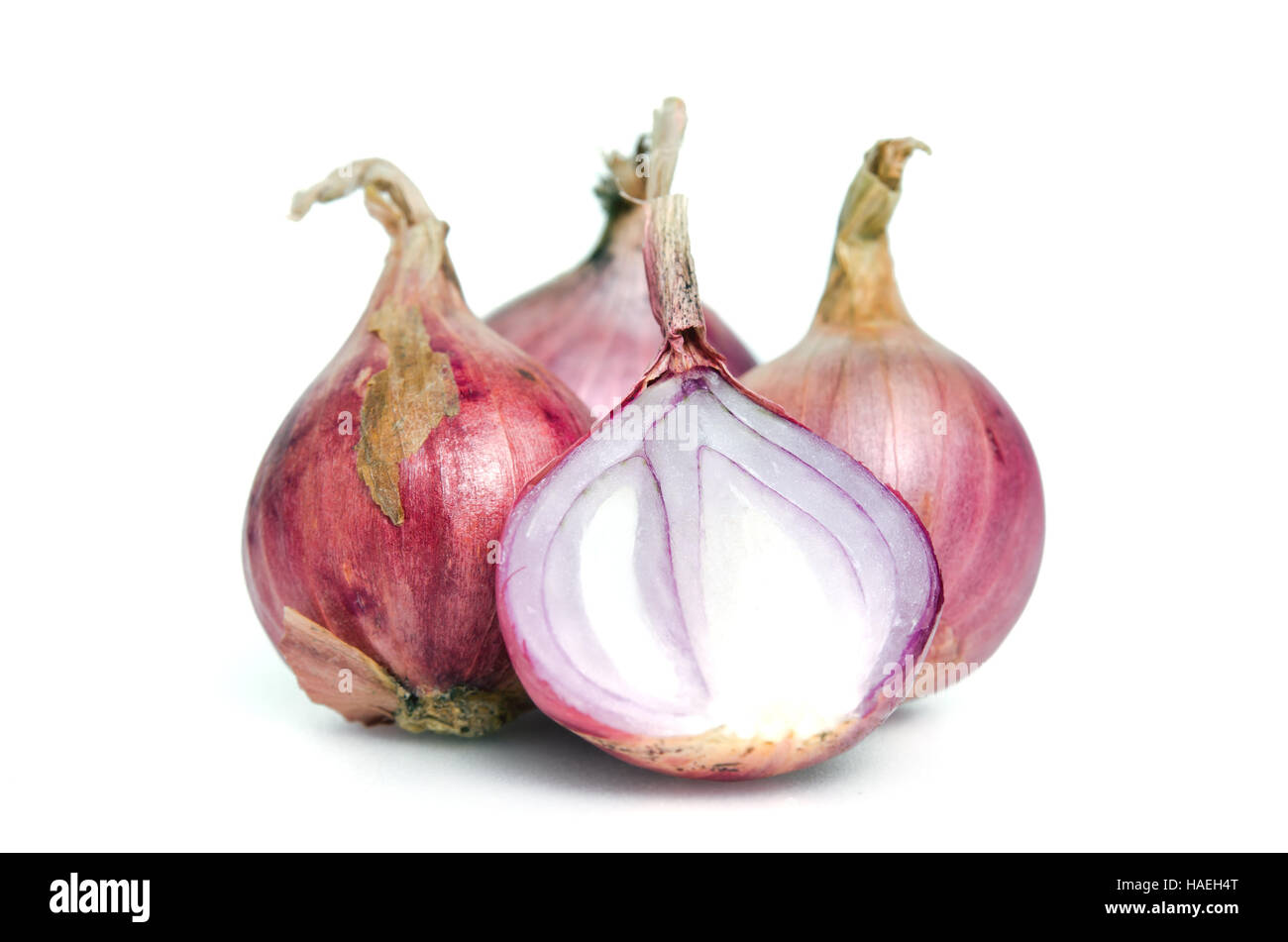 Shallot (also named as ascalonicum, Allium stipitatum, Allium