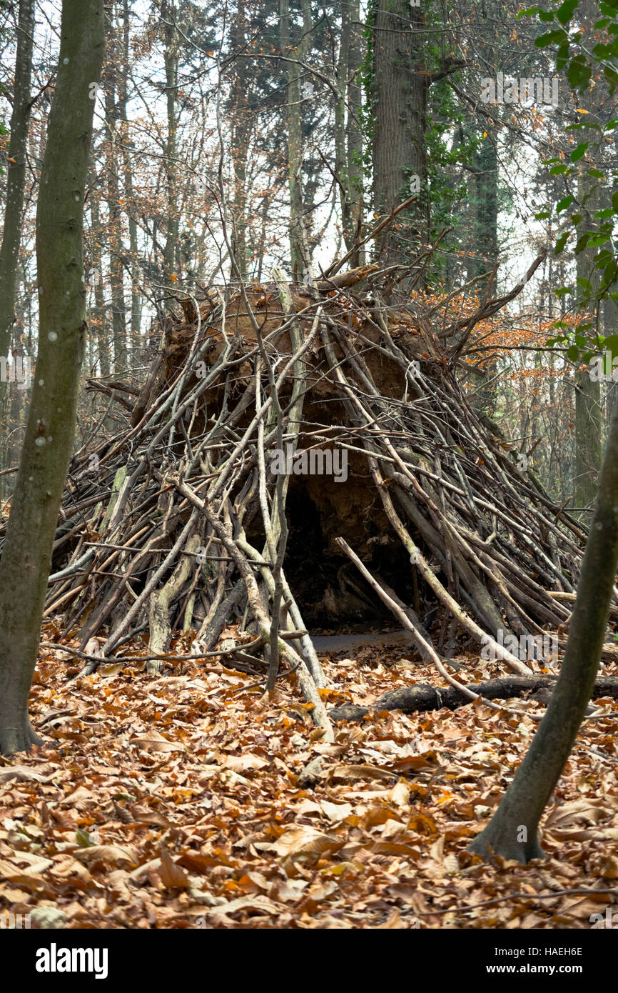 Makeshift house in the woods Stock Photo - Alamy