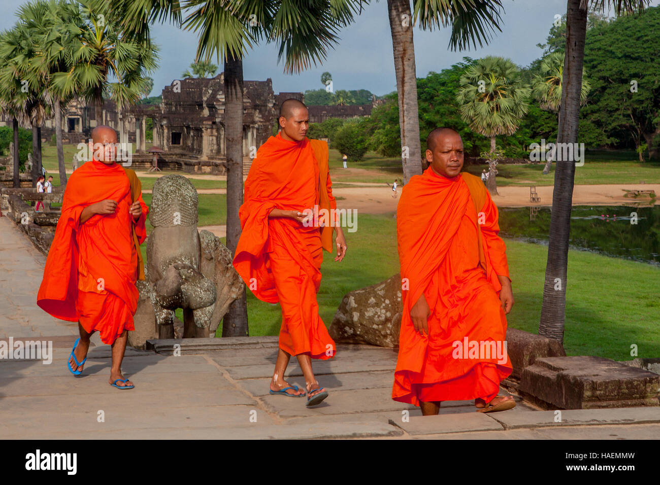 Three Buddhist monks in orange robes hurry to the main temple at Angkor Wat, Siem Reap, Cambodia. Stock Photo