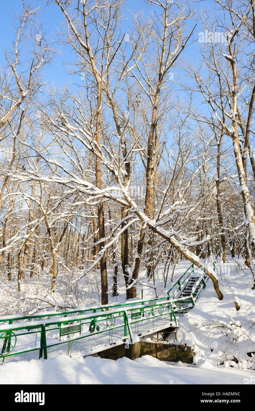 Snow covered winter trees hi-res stock photography and images - Alamy