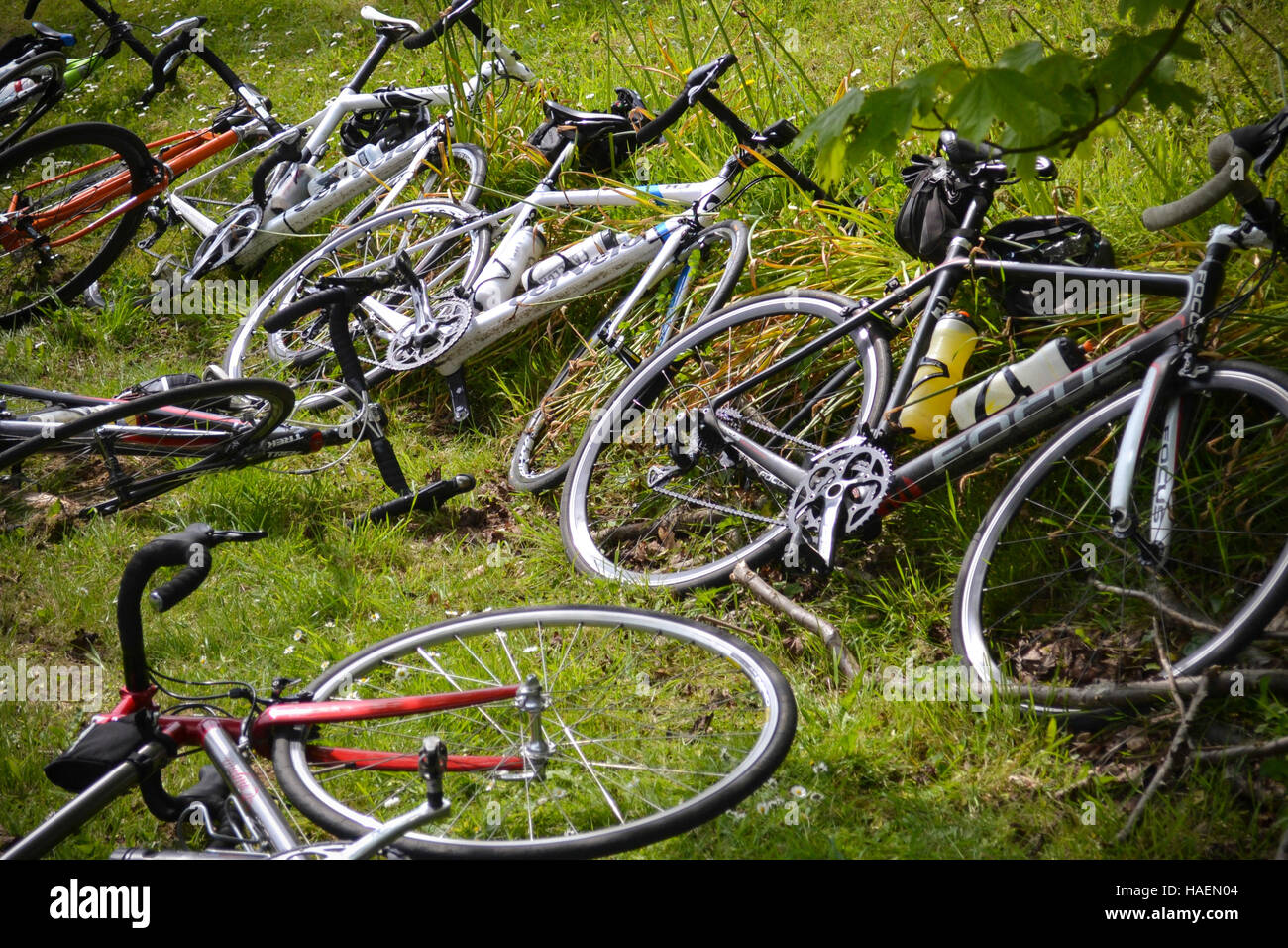 Grass Verge High Resolution Stock Photography and Images - Alamy