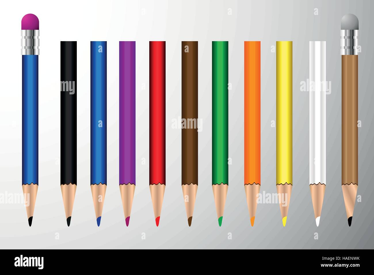 pencils and colored pencils, pencil with eraser Stock Vector Image & Art -  Alamy