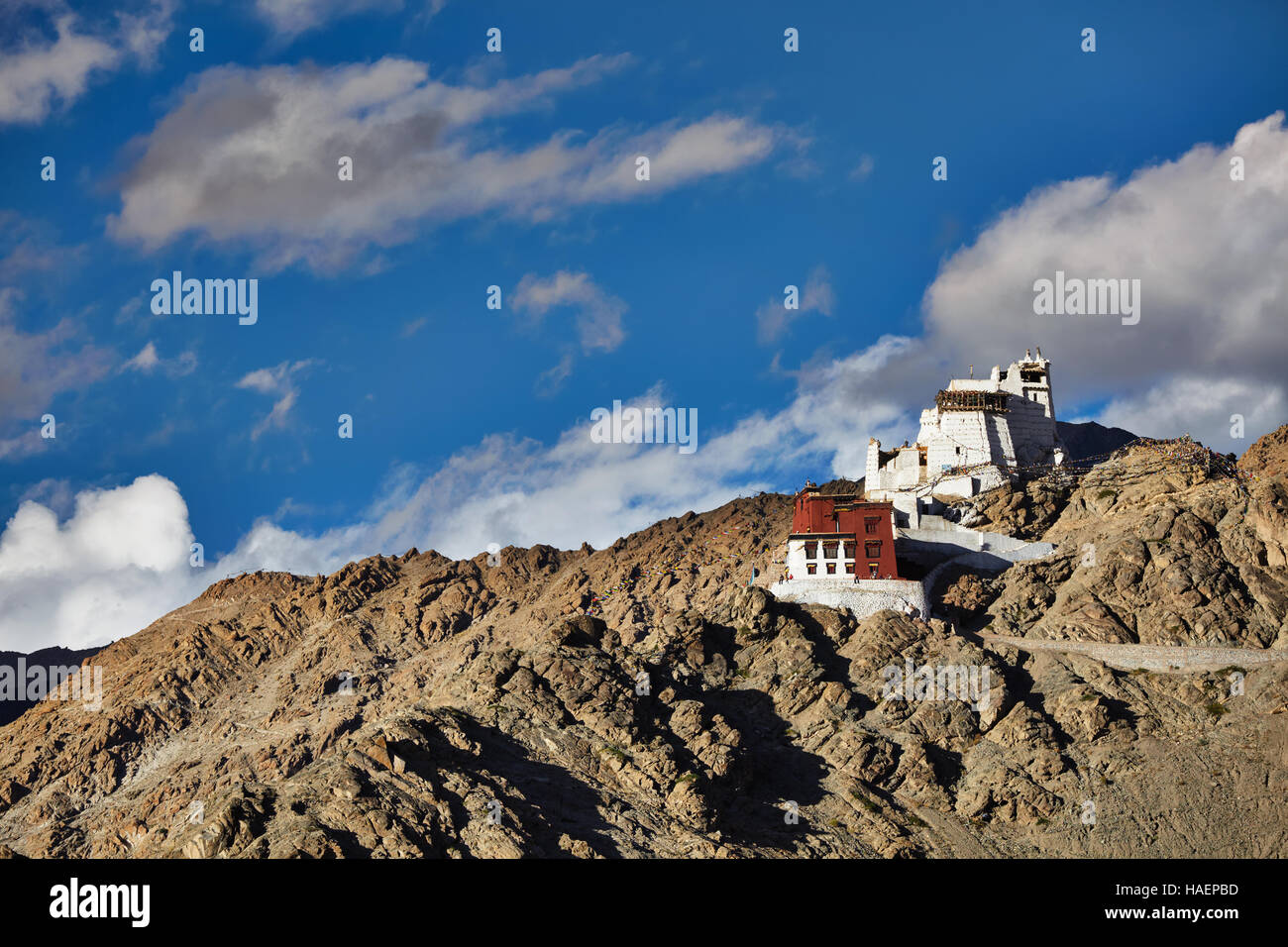 Namgyal Tsemo gompa and fort. Leh, Ladakh, Stock Photo