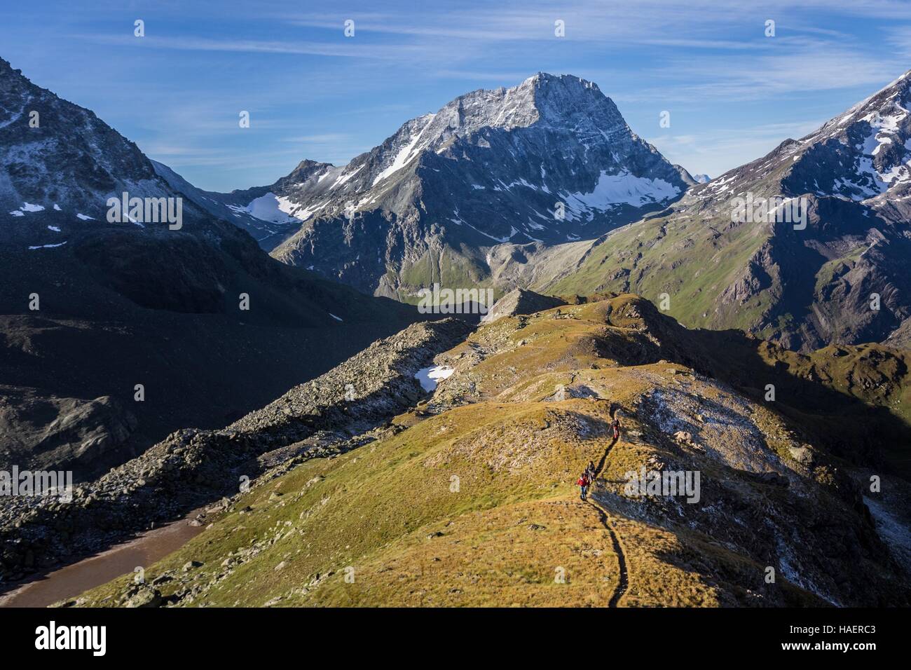 MOUNTAINEERING IN SWITZERLAND Stock Photo Alamy