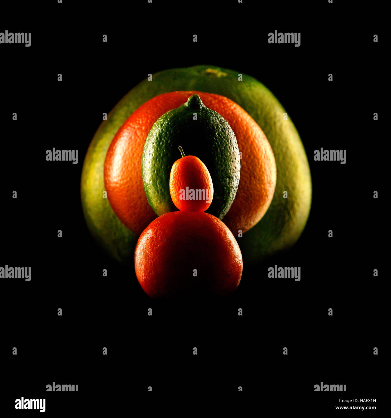 Five citrus fruits look like in this dramatically lighted