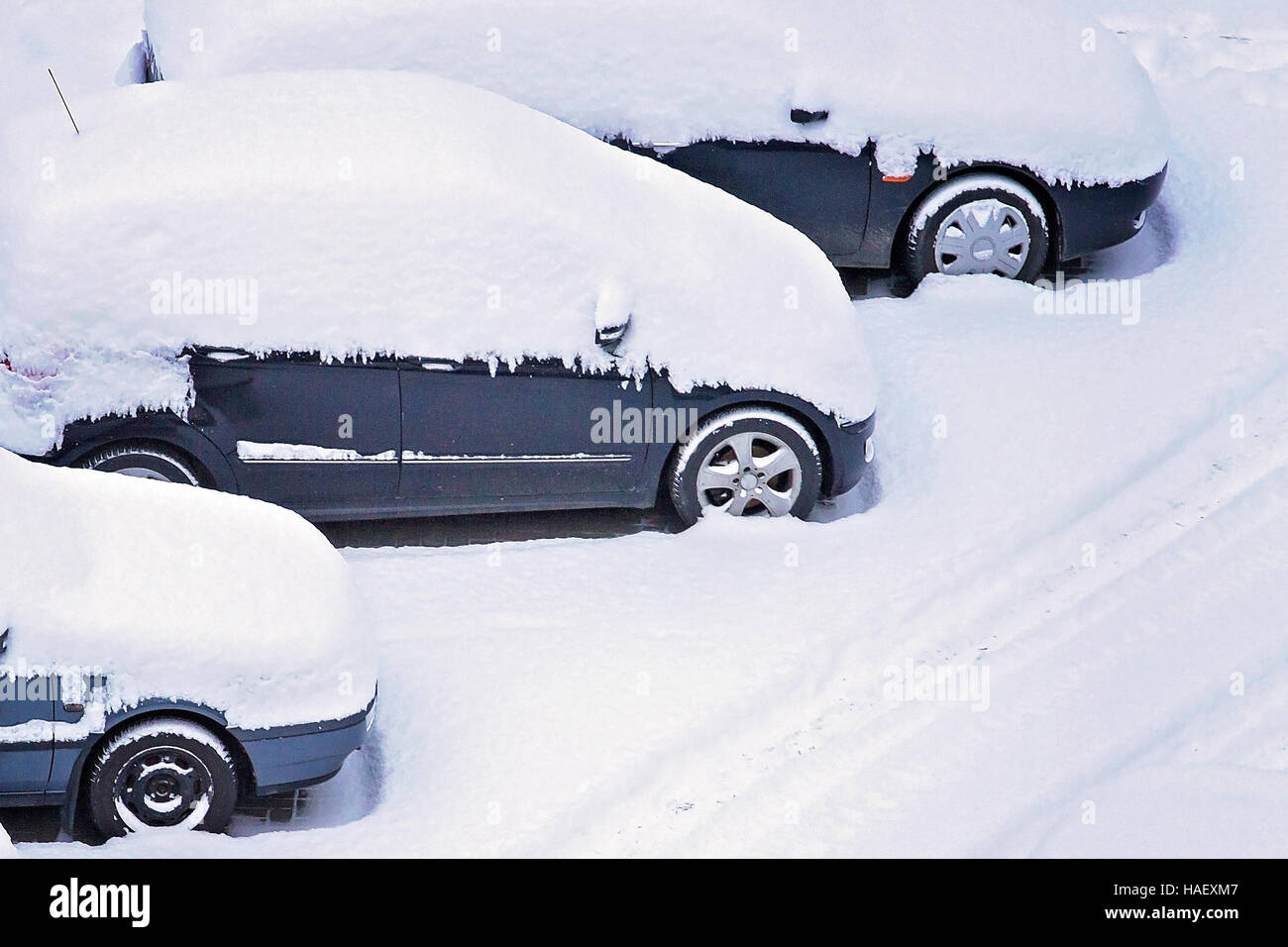 Parking lot with cars covered in fresh snow Stock Photo - Alamy