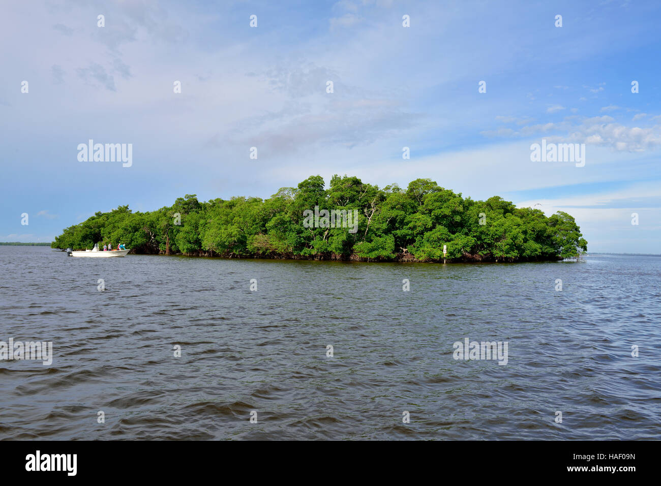 Small mangrove covered island in Pine Island Sound Aquatic Preserve, Florida Stock Photo