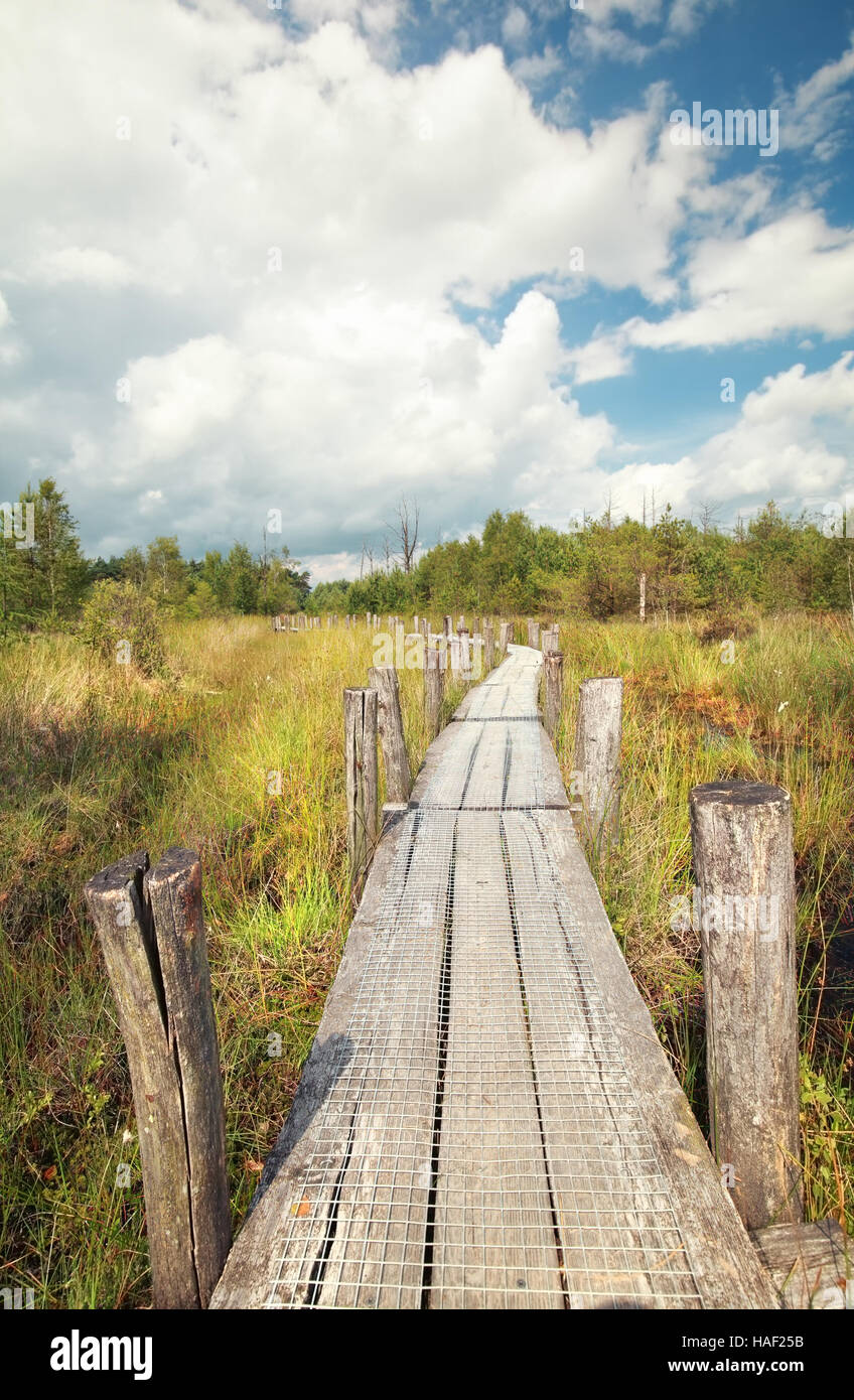 Vertical view bog wooden hi-res stock photography and images - Alamy