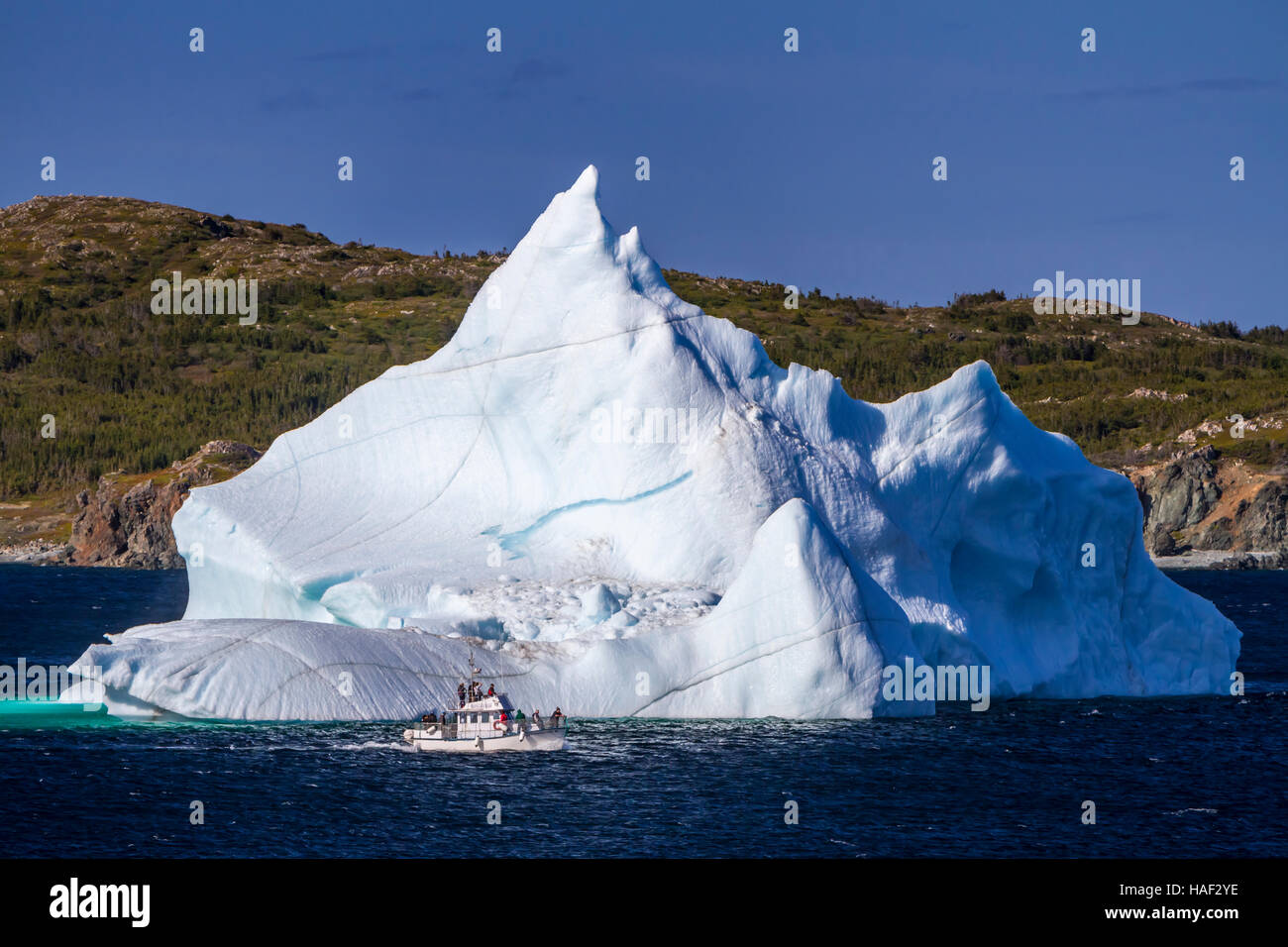 An iceberg in the waters off Twillingate, Newfoundland and Labrador, Canada. Stock Photo