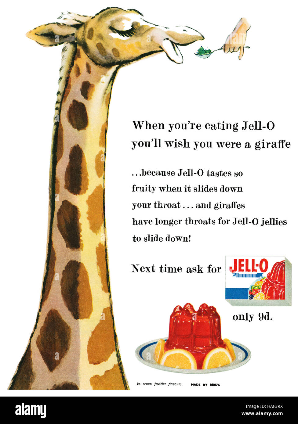 1955 British advertisement for Bird's Jell-O Stock Photo