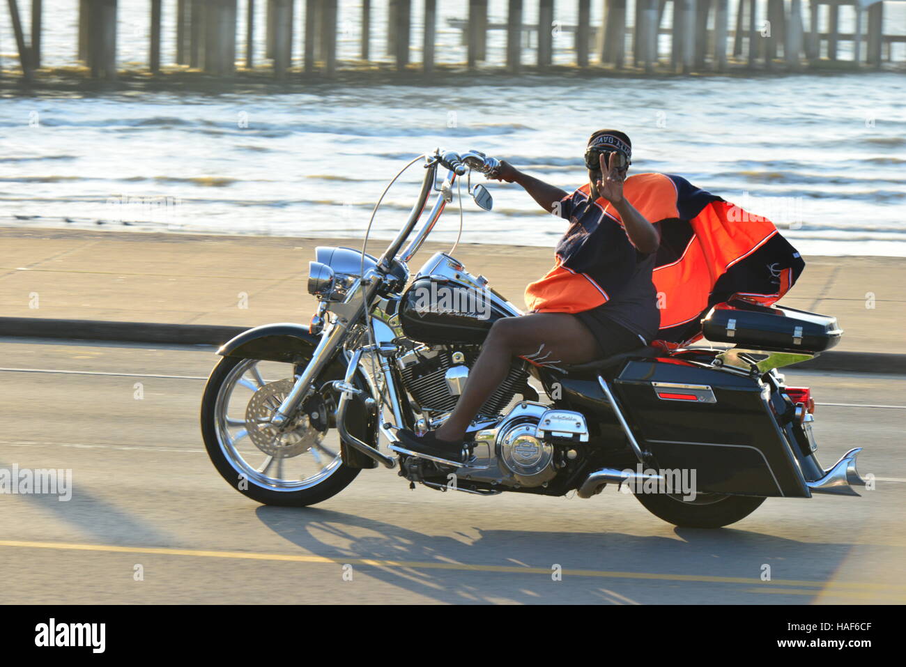 Harley Davidson Motorcycles at Galveston in Texas Stock Photo Alamy