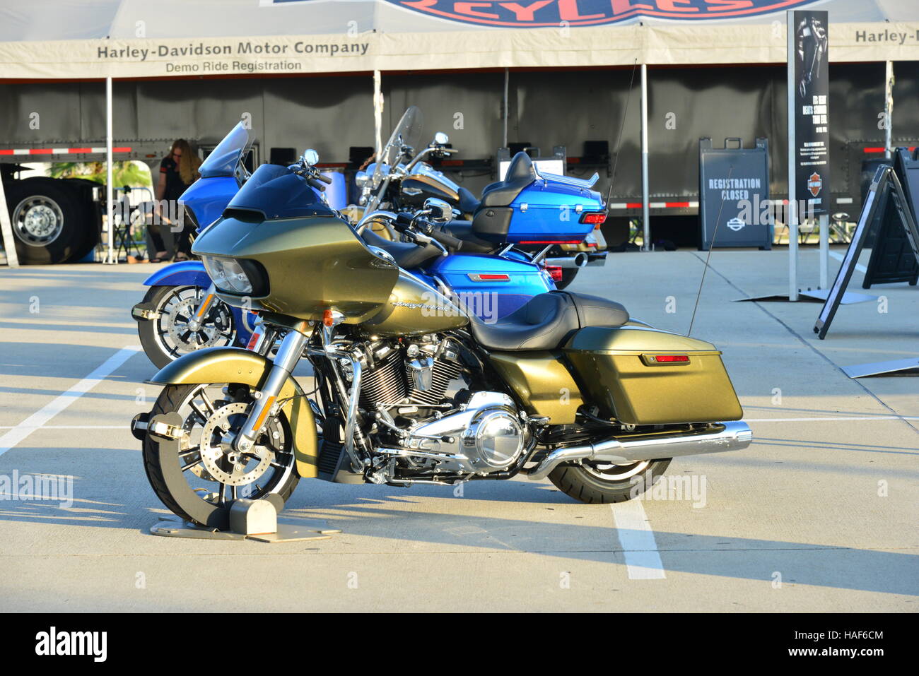 Harley Davidson Motorcycles at Galveston in Texas Stock Photo Alamy